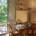 Rent 3 bedroom apartment of 80 m² in Roma