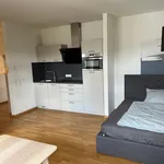 Miete 1 Schlafzimmer wohnung von 36 m² in Ulm