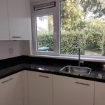 Rent 4 bedroom house of 128 m² in Nijmegen