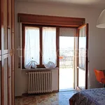 Rent 3 bedroom apartment of 95 m² in Campobasso