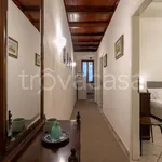 Rent 2 bedroom apartment of 66 m² in Firenze