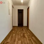 Pronajměte si 3 ložnic/e byt o rozloze 80 m² v Drozdov