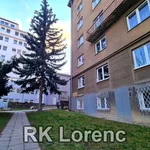 Rent 2 bedroom apartment of 44 m² in Brno