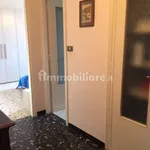 Rent 2 bedroom apartment of 55 m² in Turin