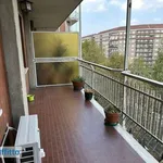 Rent 3 bedroom apartment of 100 m² in Turin