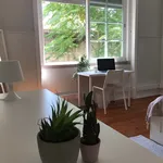 Rent a room of 160 m² in Lisboa