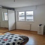 Rent 1 bedroom apartment in Bartenheim