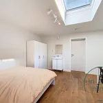 Rent 1 bedroom apartment in Leuven