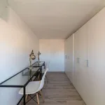 Rent a room in florence