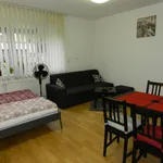 Studio o rozloze 45 m² v Prague