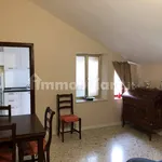 Rent 2 bedroom apartment of 48 m² in Cuneo