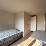 Rent 1 bedroom apartment in Leuven