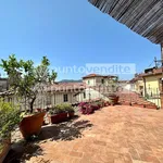 Rent 5 bedroom apartment of 335 m² in Lucca