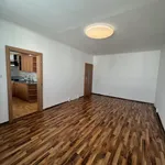 Rent 3 bedroom apartment of 72 m² in Pilsen