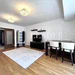 Rent 4 bedroom apartment of 150 m² in Bucuresti