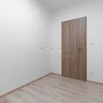 Rent 1 bedroom apartment of 57 m² in Plzeň