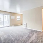 Rent 1 bedroom apartment in Windsor, ON