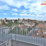 Rent 1 bedroom apartment of 45 m² in Brno