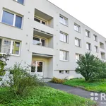 Rent 1 bedroom apartment in Brno