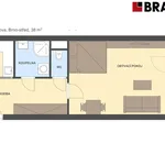 Rent 1 bedroom apartment of 38 m² in Brno