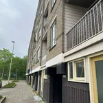 Huur 3 slaapkamer appartement van 60 m² in Spijkenisse