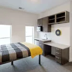 Rent 1 bedroom apartment in Columbus