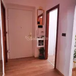 Rent 3 bedroom apartment of 60 m² in Trieste