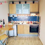 Rent 2 bedroom apartment of 38 m² in Praha