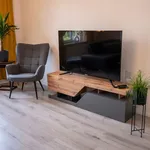 Rent 4 bedroom apartment of 125 m² in Chemnitz