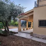 Rent 3 bedroom house of 80 m² in Carini