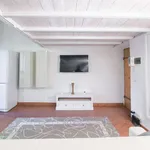 Rent 1 bedroom apartment of 35 m² in florence