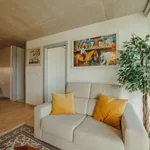 Rent 1 bedroom apartment in porto