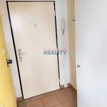 Rent 1 bedroom apartment of 45 m² in České Budějovice