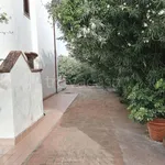 Rent 2 bedroom house of 140 m² in Carini