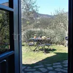 Rent 1 bedroom apartment of 20 m² in Levanto