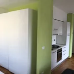 Rent 1 bedroom apartment of 45 m² in Turin