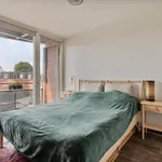 Huur 3 slaapkamer appartement van 78 m² in Hoefstraat Noord