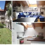 Rent 2 bedroom apartment of 83 m² in Monza