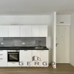 Rent 2 bedroom apartment of 60 m² in Padova