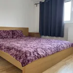 Rent 1 bedroom apartment of 60 m² in Prague