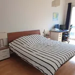 Rent 2 bedroom apartment of 67 m² in Berlin