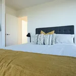 Rent 2 bedroom apartment in Auckland