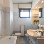 Rent 1 bedroom apartment in Milan