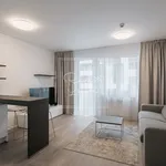 Rent 1 bedroom apartment of 29 m² in Prague