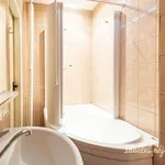 Rent 2 bedroom apartment of 54 m² in Prague