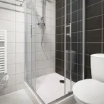 Rent 1 bedroom apartment in Brno