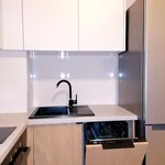 Rent 2 bedroom apartment of 45 m² in Łódź