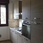 Rent 2 bedroom apartment of 60 m² in Busto Arsizio