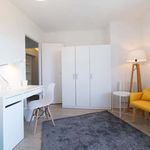 Louez une chambre à Toulouse