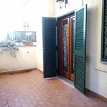 Rent 1 bedroom apartment of 35 m² in Roma